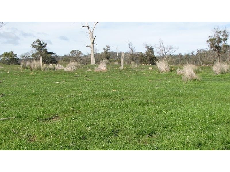 900 Swanston Road, Swanston TAS 7120