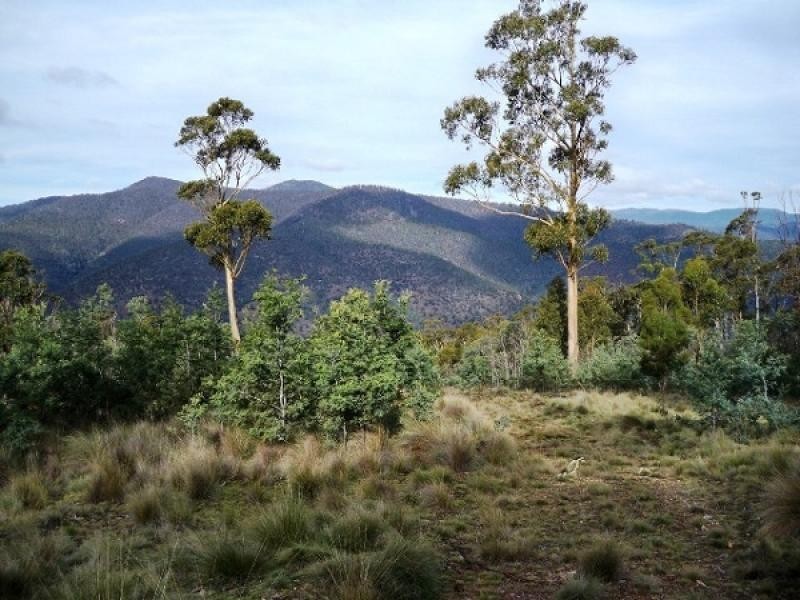 1 Cranes Road, Dromedary TAS 7030