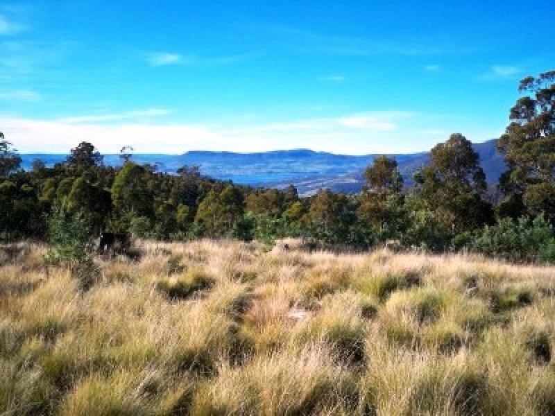 1 Cranes Road, Dromedary TAS 7030