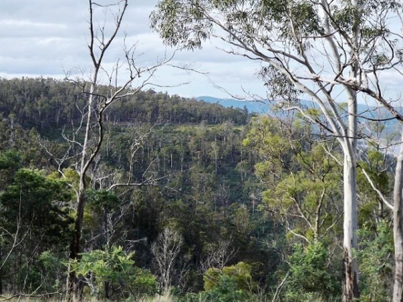 1 Cranes Road, Dromedary TAS 7030