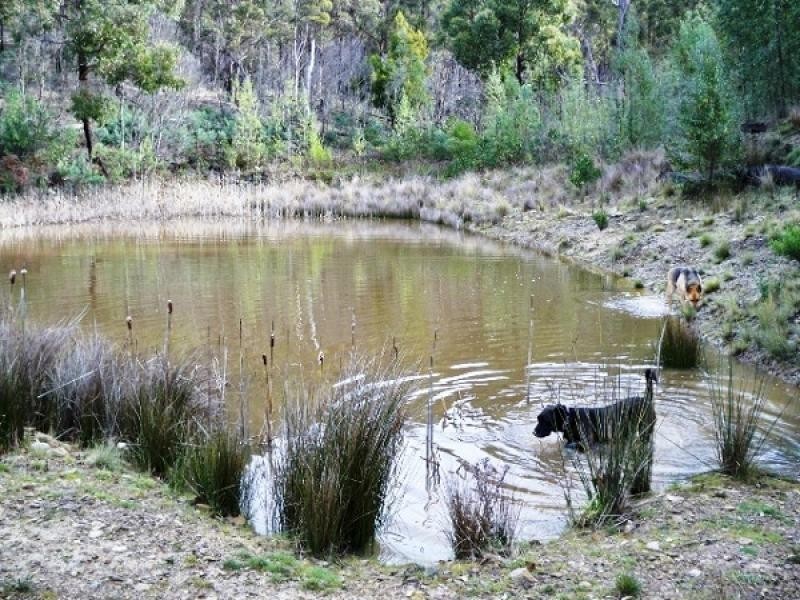 1 Cranes Road, Dromedary TAS 7030