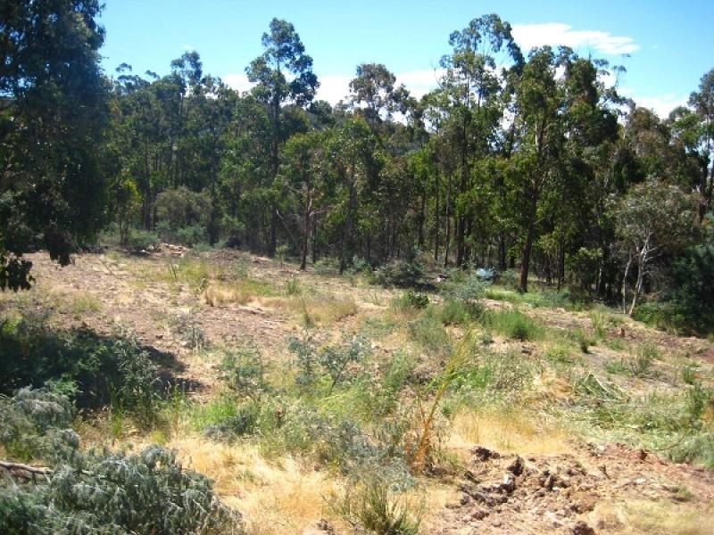 60 Horseys Road Dysart, Bagdad TAS 7030