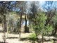 00 Nunns Road, Broadmarsh TAS 7030