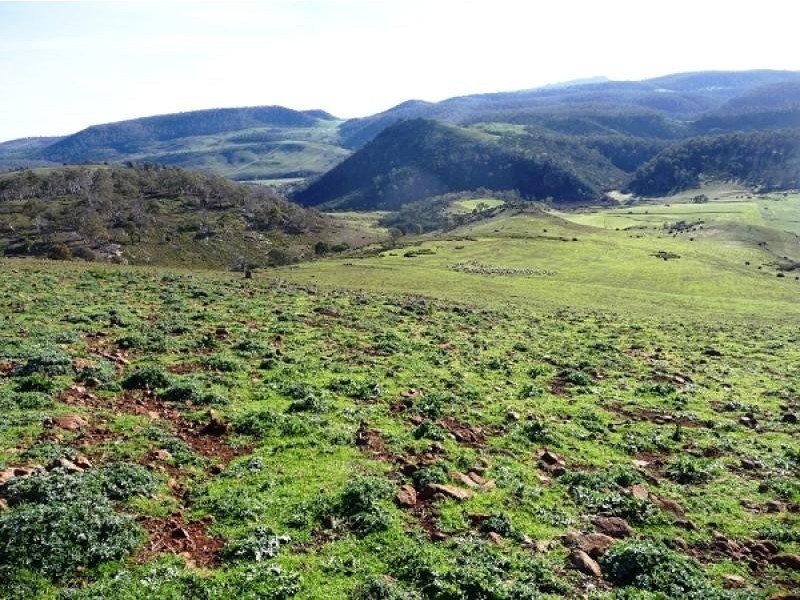 Lower Marshes TAS 7030