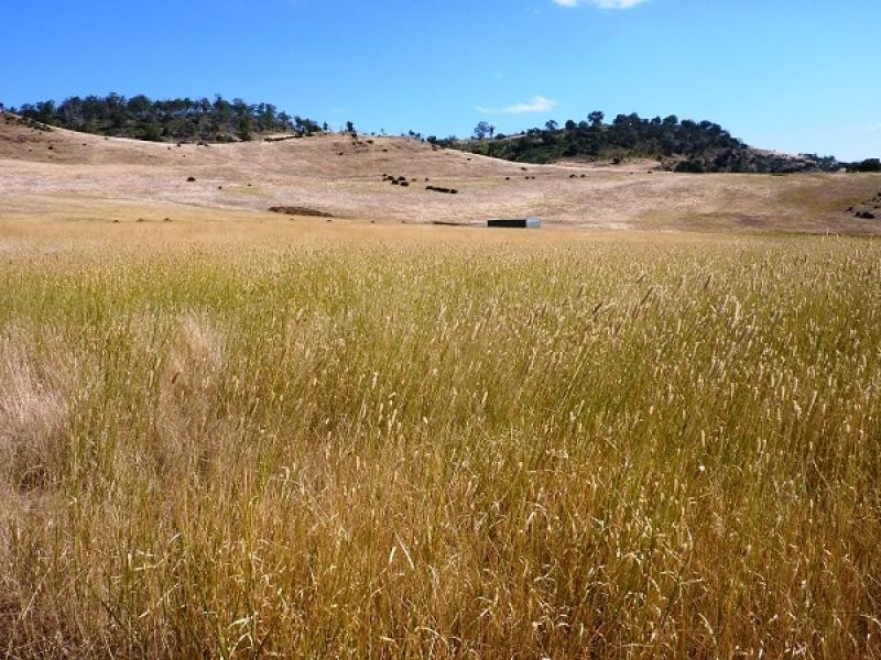 Lower Marshes TAS 7030