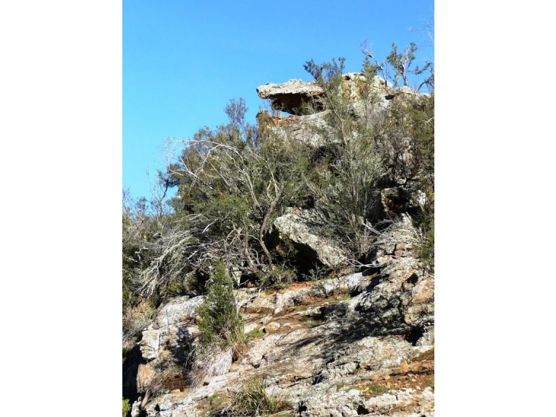 Lower Marshes TAS 7030