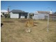 31 Patrick Street, Bothwell TAS 7030