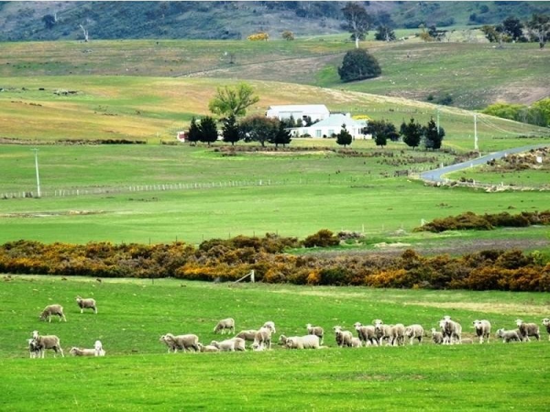 644 Lower Marshes Road, Apsley TAS 7030