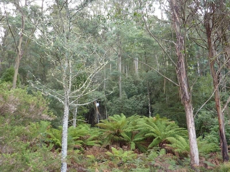 Ellendale TAS 7140