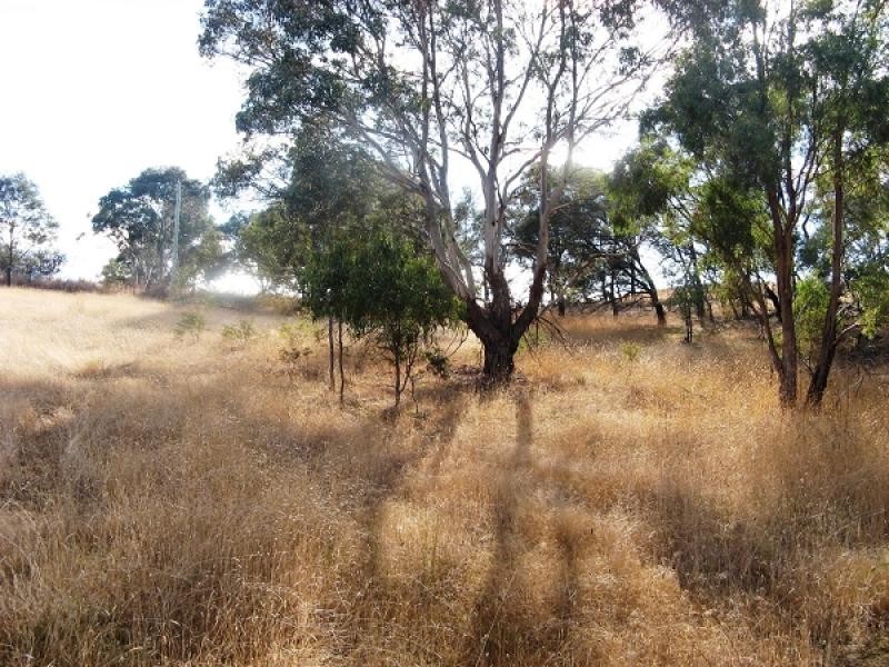 52 Honeywood Drive, Honeywood TAS 7017