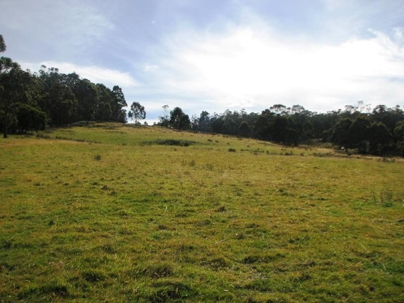 10 Espies Craig Rd., Pelham TAS 7030