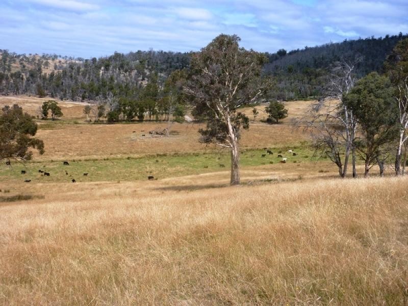 00 Horners Road, Elderslie TAS 7030