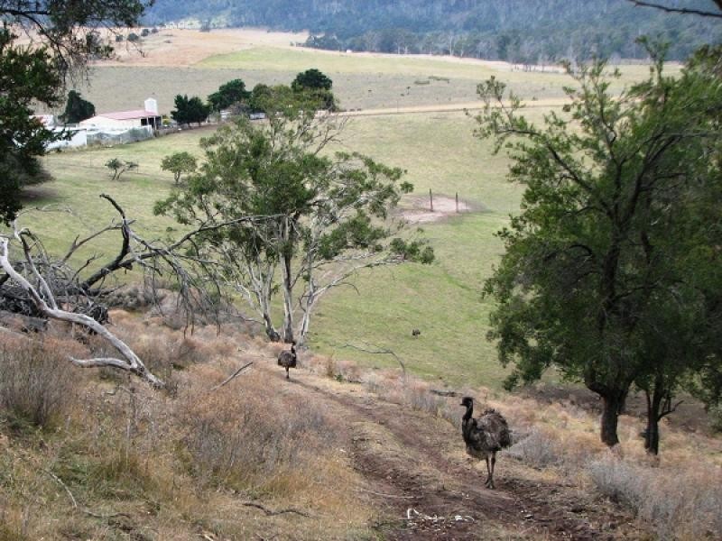 194 Shrub End Road, Wattle Hill TAS 7172