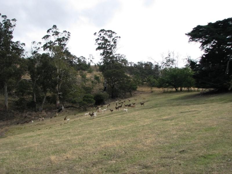 194 Shrub End Road, Wattle Hill TAS 7172