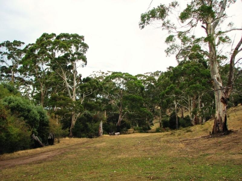 194 Shrub End Road, Wattle Hill TAS 7172