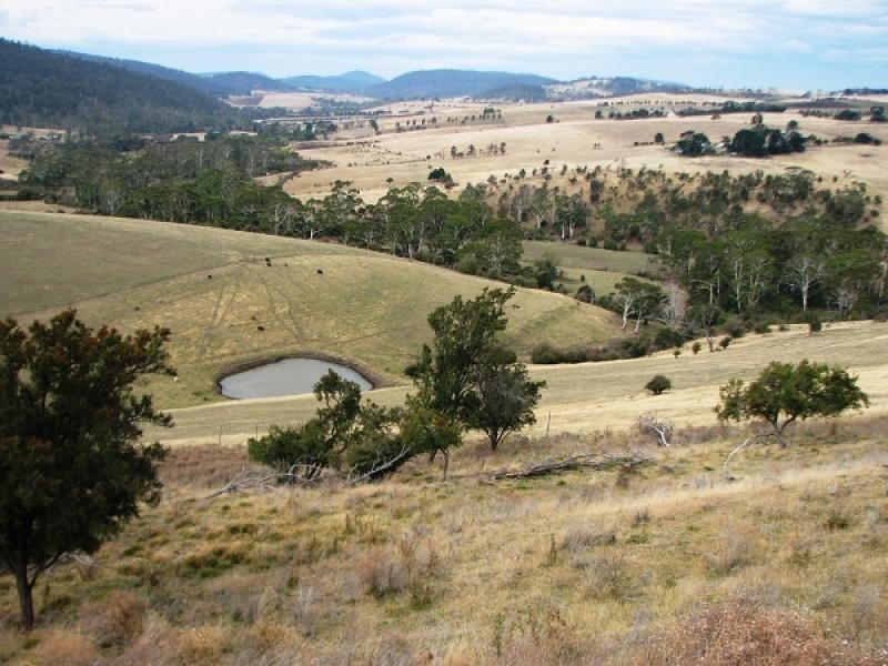 194 Shrub End Road, Wattle Hill TAS 7172