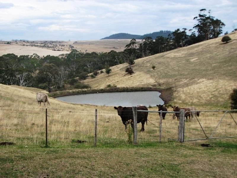 194 Shrub End Road, Wattle Hill TAS 7172