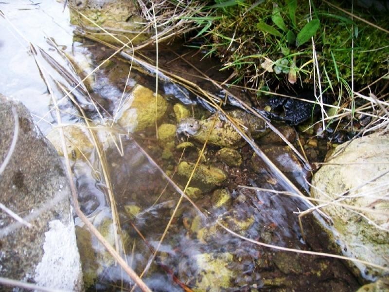 56 Parsons Road, Gretna TAS 7140