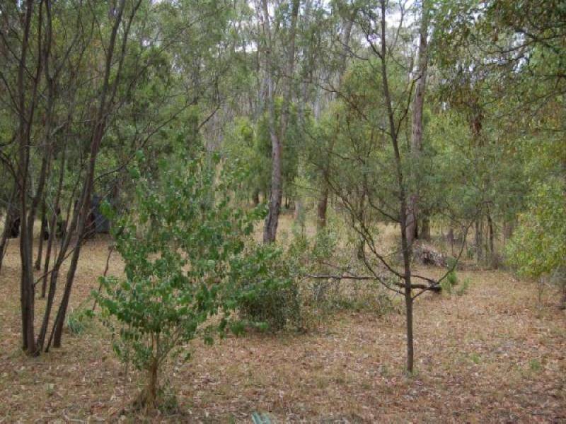 2966 WHITTLESEA YEA ROAD, Flowerdale VIC 3717