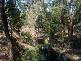 3 CREEKSIDE DRIVE, Flowerdale VIC 3717