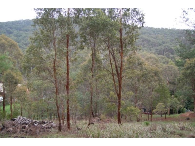 75 Silver Creek Road, Flowerdale VIC 3717