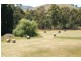 Flowerdale VIC 3717