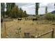 Flowerdale VIC 3717