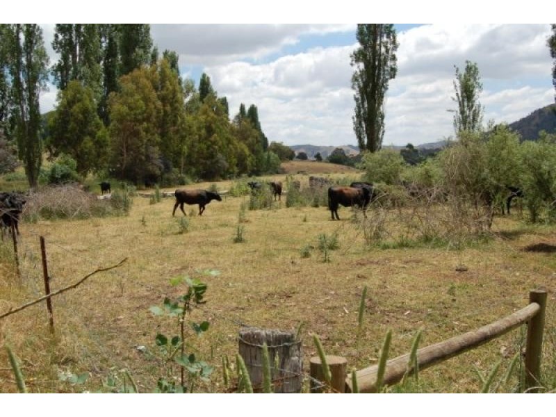 Flowerdale VIC 3717