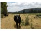 Flowerdale VIC 3717