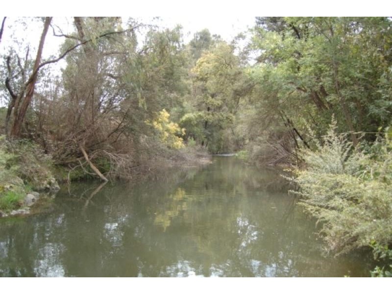 53 Riverside Crescent, Flowerdale VIC 3717