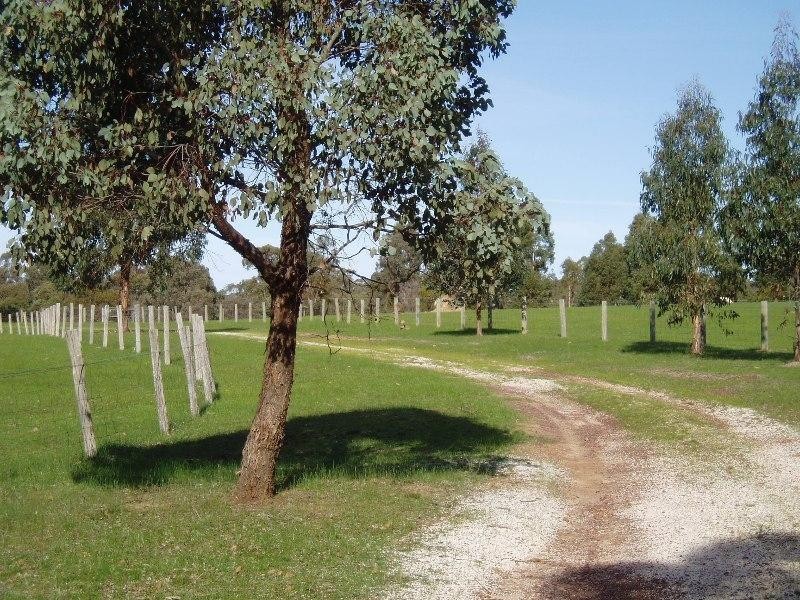 40 Teasley Drive, Heathcote VIC 3523