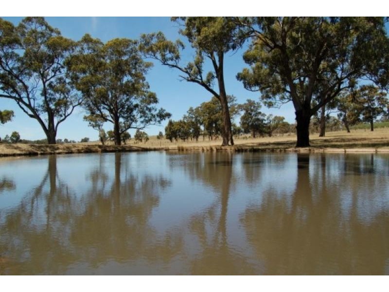 80 Selection Road, Broadford VIC 3658