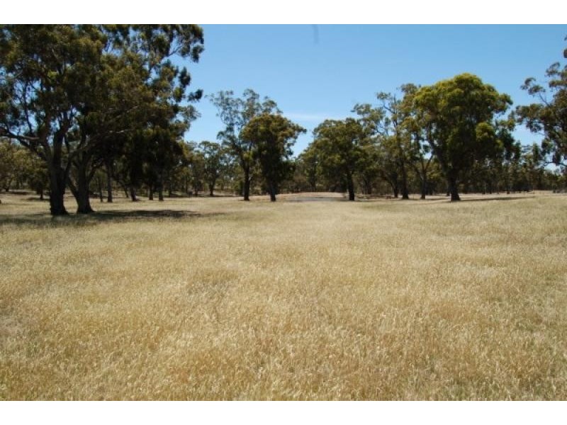80 Selection Road, Broadford VIC 3658