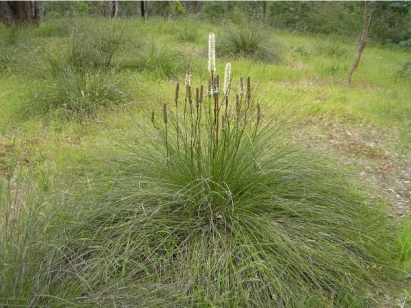 1315 WALLAN ROAD, Whittlesea VIC 3757