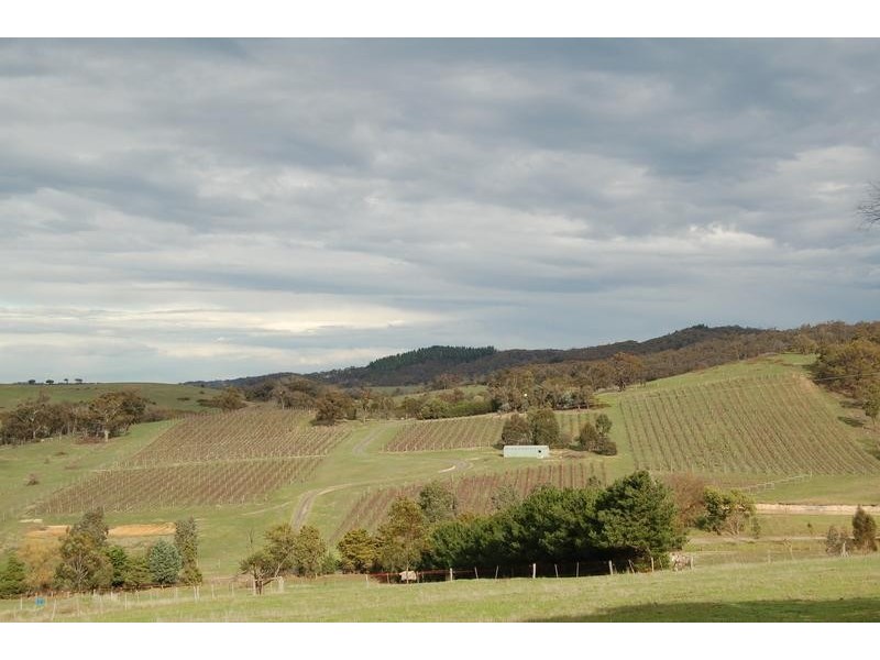 35 Munts Road, Upper Plenty VIC 3756