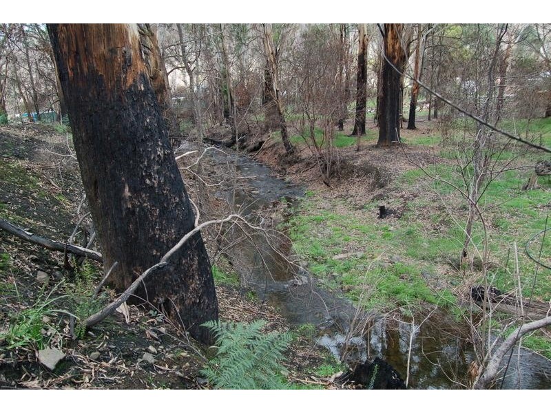 75 Forest Road, Flowerdale VIC 3717