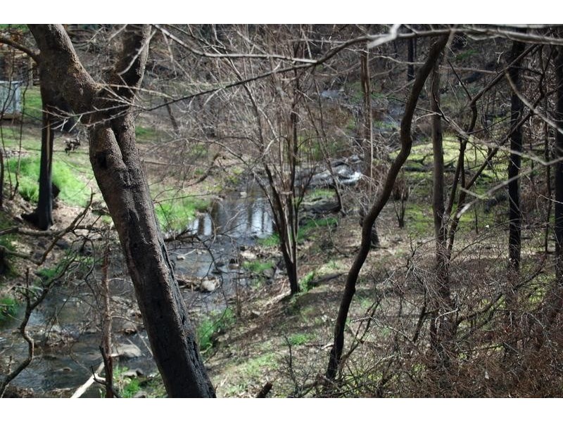 75 Forest Road, Flowerdale VIC 3717