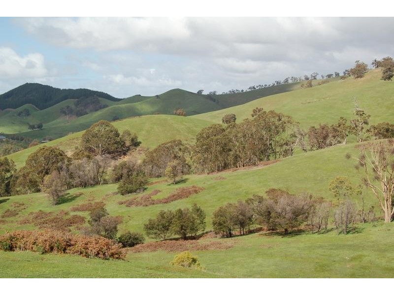 Strath Creek VIC 3658