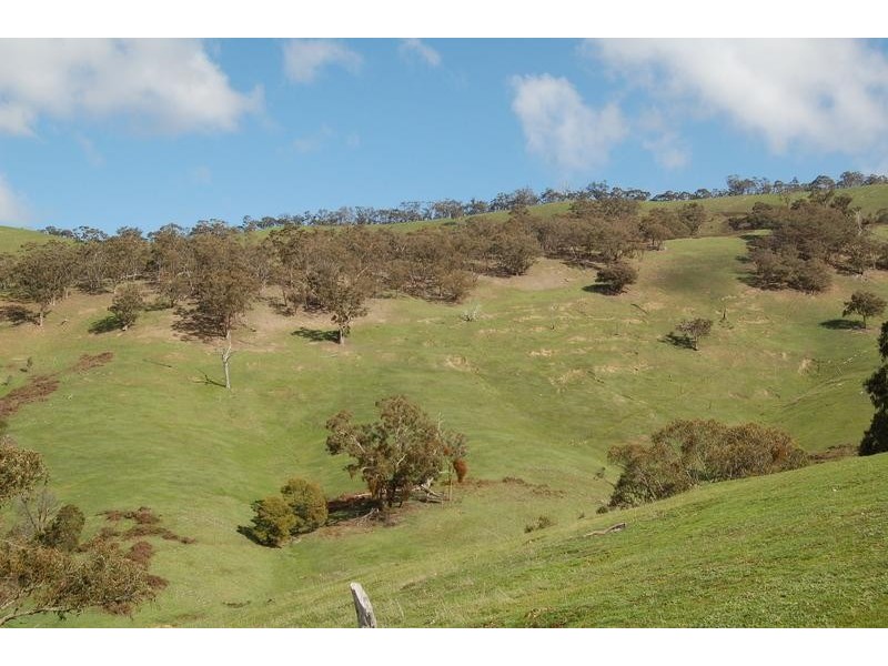 Strath Creek VIC 3658