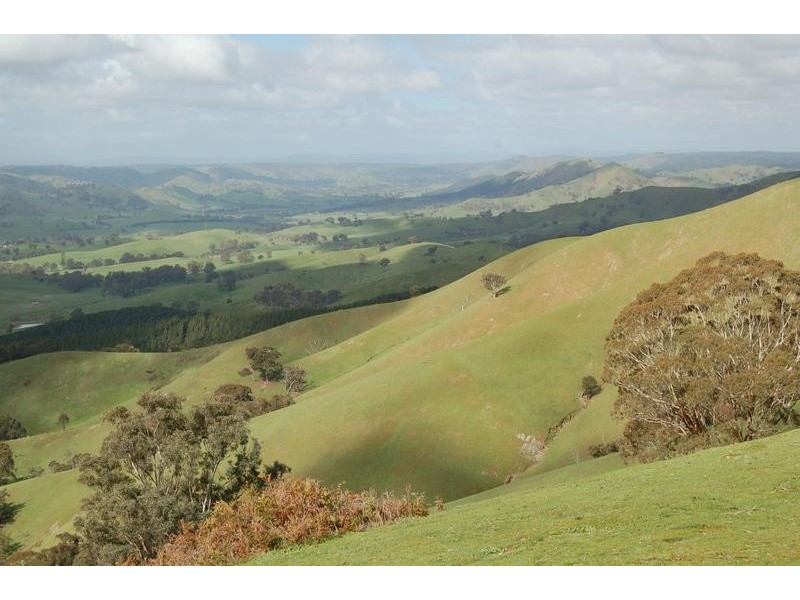 Strath Creek VIC 3658