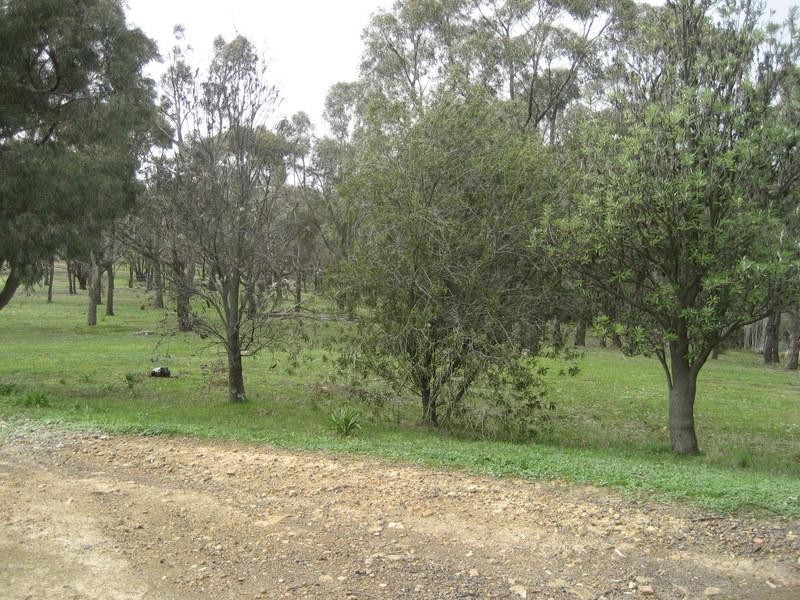 110 Cameron Rise, Beveridge VIC 3753