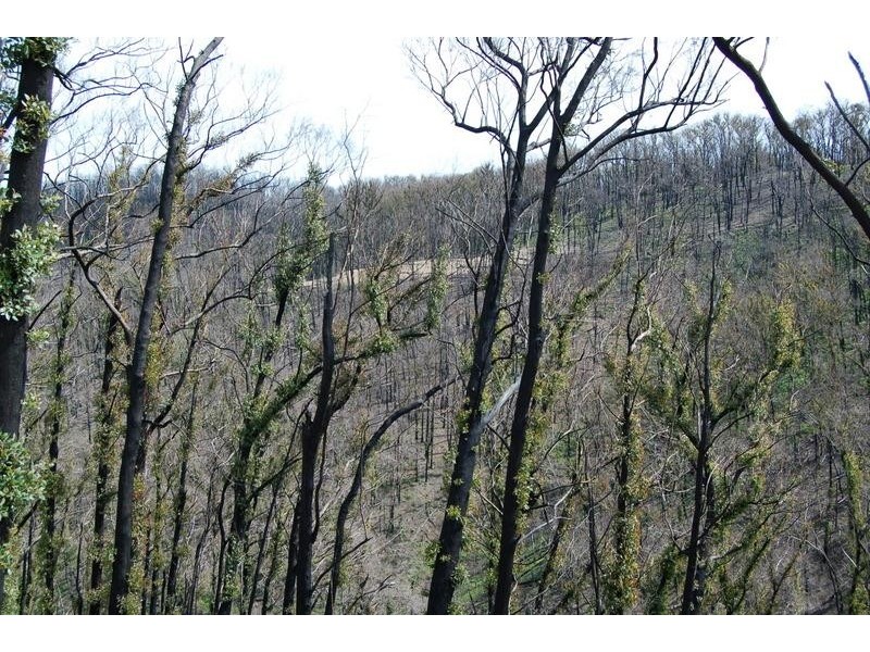 201 Forest Road, Flowerdale VIC 3658