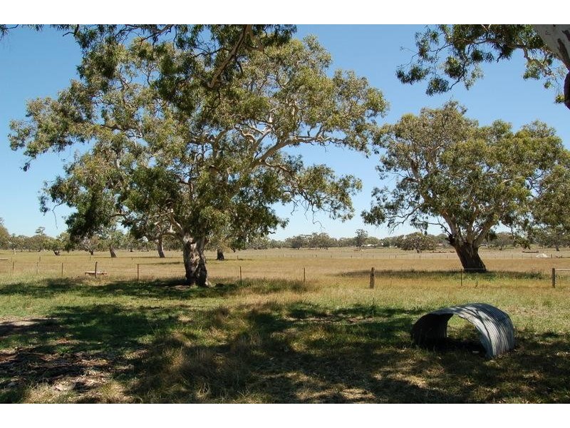 1460 Donnybrook Road, Woodstock VIC 3751