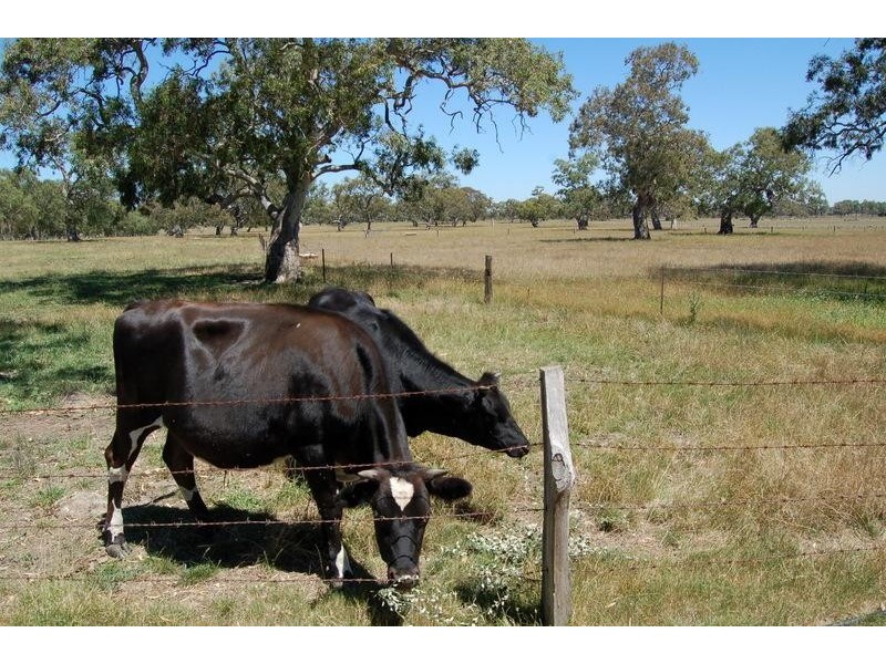 1460 Donnybrook Road, Woodstock VIC 3751