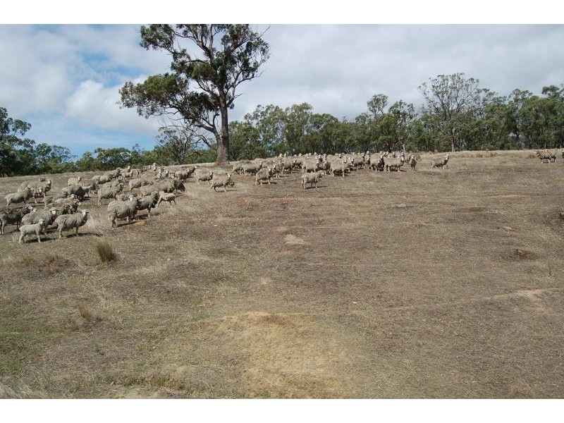 Lot 14/ Gerard Road, Broadford VIC 3658