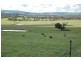Lot 2/ Lambing Gully Road, Seymour VIC 3660