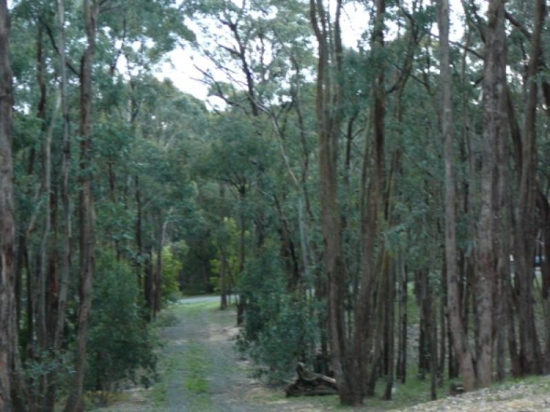 15 Cowans Drive, Dales Creek VIC 3341