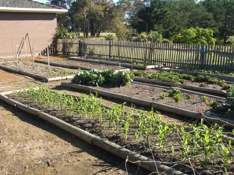 1395 Northwood Road, Seymour VIC 3660
