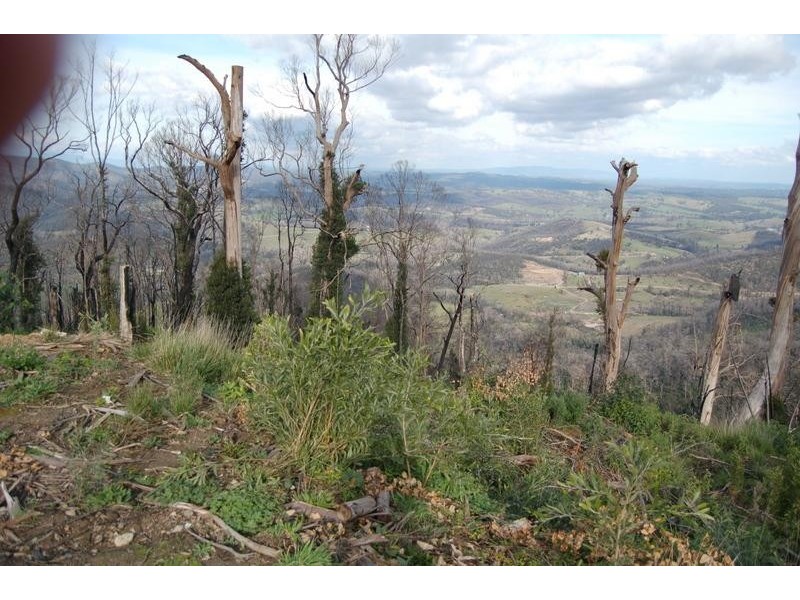 54 Pineridge Road, Kinglake West VIC 3757