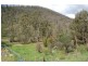 Lot 6&7/ Curlings Road, Flowerdale VIC 3717